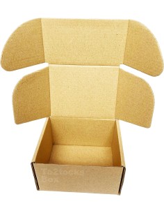 Caja auto montable canal micro 10cmx8cmx6cm PACK 25